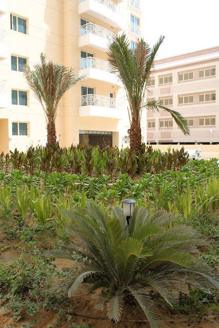 Irrigation Works